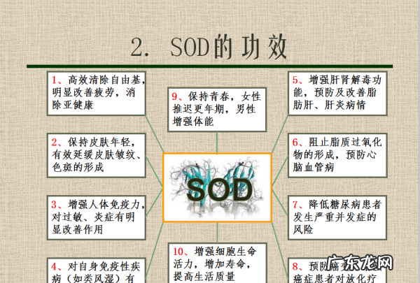 体检sod是指什么,sod是什么意思