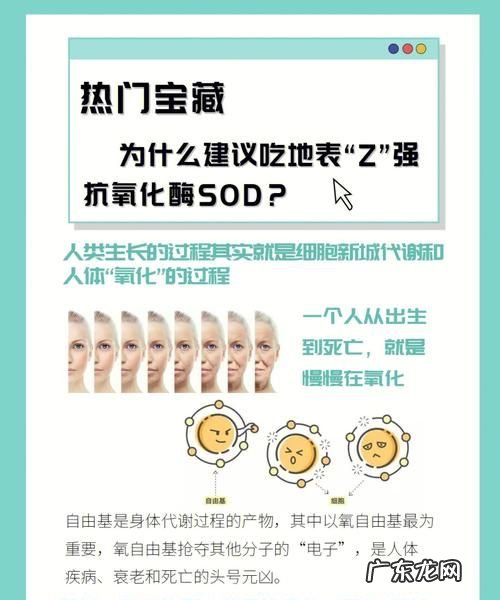 体检sod是指什么,sod是什么意思