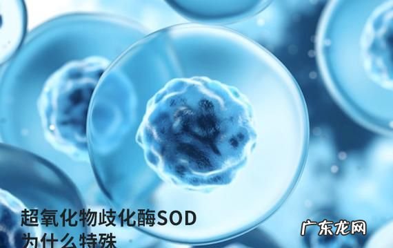体检sod是指什么,sod是什么意思