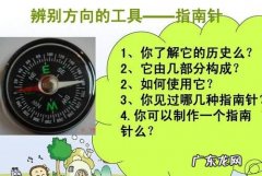天然指南针向日葵是怎么辨别方向的,生活中怎么辨别方向的方法有哪些