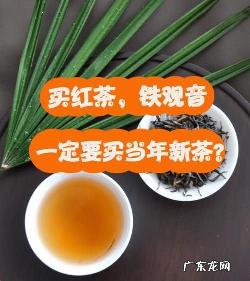铁观音属于红茶,铁观音属于什么茶类红茶还是绿茶