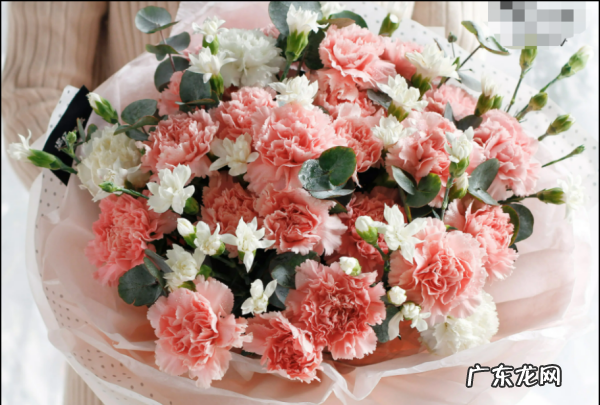 学生送妈妈什么礼物,小学生母亲节送什么礼物好一点