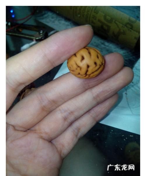 桃核最简单打磨方法,蟠桃核怎么打磨打孔成型的