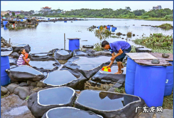 盐是怎么做的,盐是怎么做的