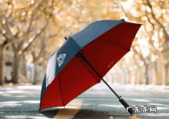 米雨伞如何带上飞机,透明长柄雨伞能带上飞机