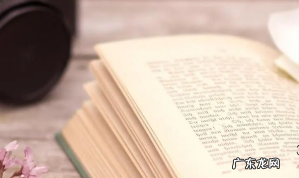 一清什么什么,歇后语小葱拌豆腐一清二白是什么意思