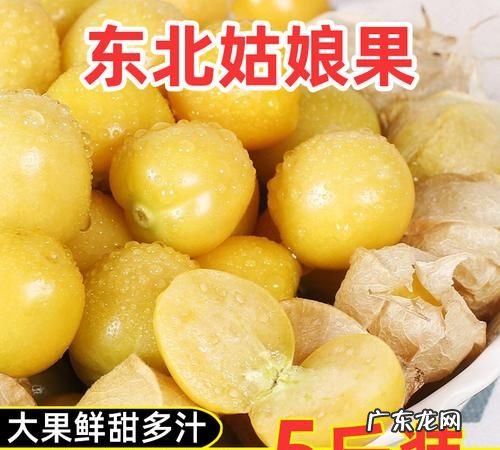大连特产有哪些特产水果,大连产什么水果最多