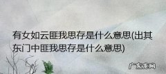 出其东门什么意思,诗经.郑风.出其东门拼音
