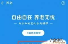 支付宝建信养老飞月宝安全,建信养老飞月宝在哪里买