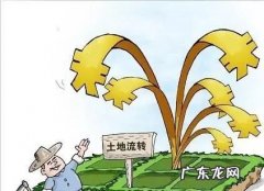 土地可以永久租赁,土地可以永久租赁