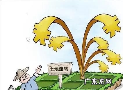 土地可以永久租赁,土地可以永久租赁