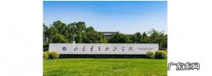 烟台中医药学院是几本,山东中医药高等专科学校和山东中医药大学