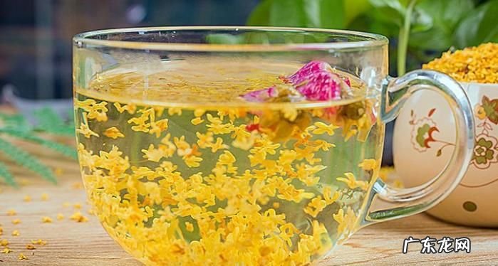桂花泡水喝一天放几颗,桂花泡水喝的功效与禁忌