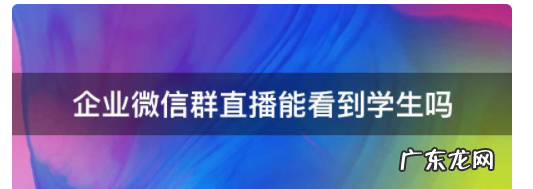 企业微信群直播能看到学生,企业微信群直播可以看到学生