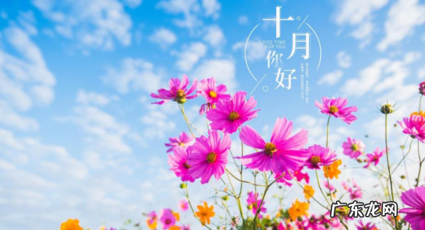 oct是几月,oct是几月