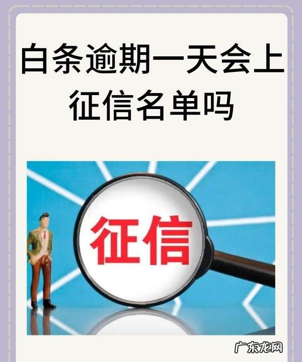 白条逾期一天会上征信吗?,白条逾期了一天会不会上征信
