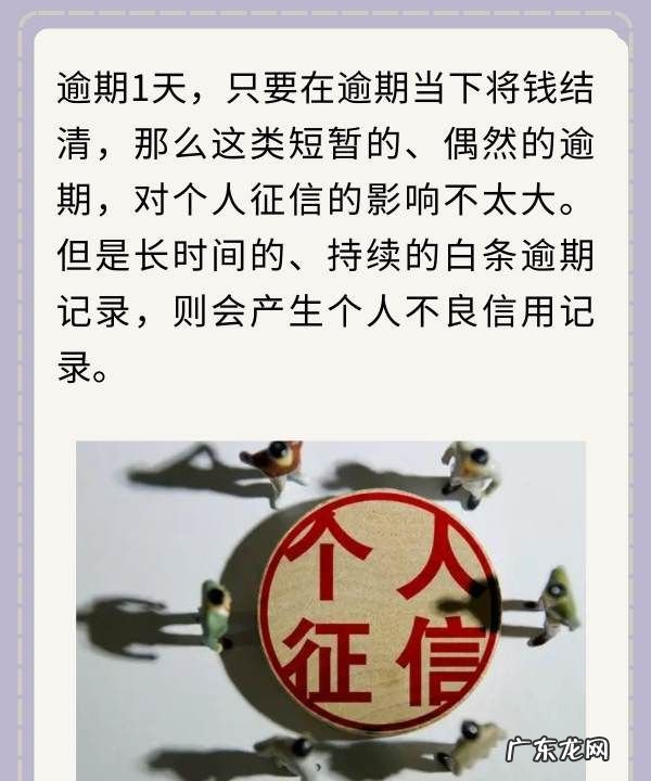 白条逾期一天会上征信吗?,白条逾期了一天会不会上征信