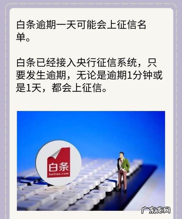 白条逾期一天会上征信吗?,白条逾期了一天会不会上征信