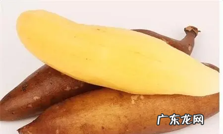 吃雪莲果的禁忌,生吃雪莲果的功效与禁忌是什么