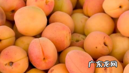 杏干太干怎样才能又软又好吃,我有点杏干太酸了怎么加工一下口感会好些