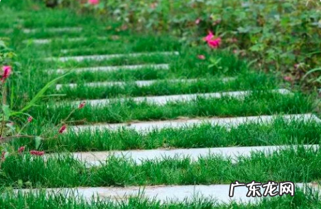 清明节的风俗是什么,清明节传统风俗有哪些简单介绍