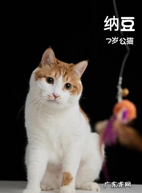 太阳凹陷吃胖能改善,太阳凹陷的原因是什么