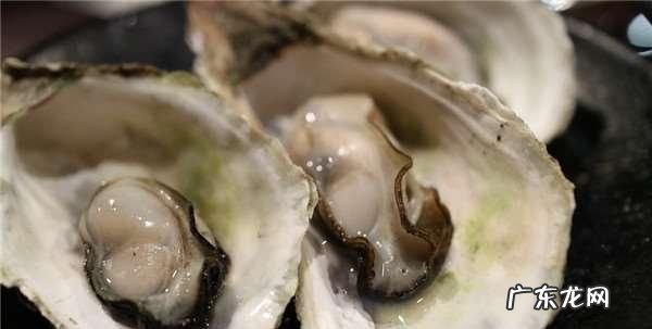 生蚝能多吃了会怎样,生蚝能多吃了会怎样