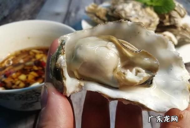 生蚝能多吃了会怎样,生蚝能多吃了会怎样