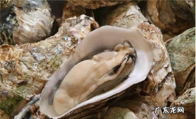 生蚝能多吃了会怎样,生蚝能多吃了会怎样