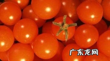 圣女果是转基因的,圣女果是转基因食品这回终于弄清楚了