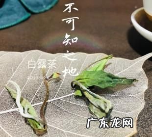 白露茶的功效与作用,白露后适合喝什么茶