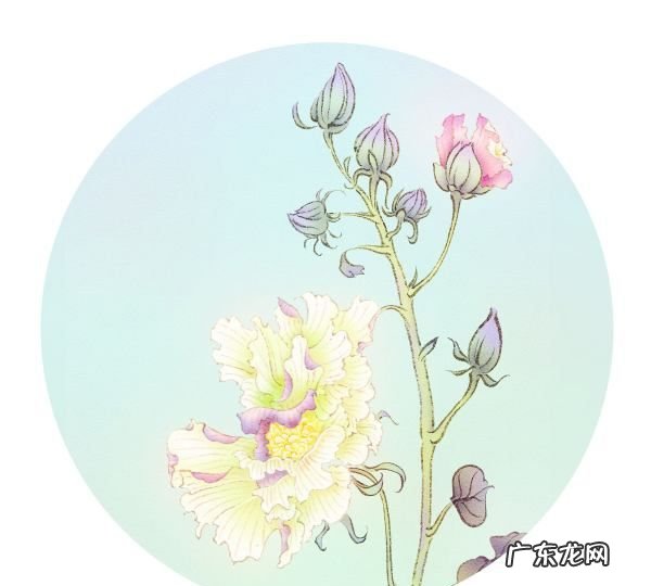 白露茶的功效与作用,白露后适合喝什么茶