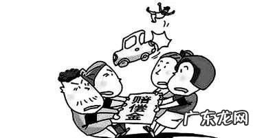 赔偿法里国家赔偿精神抚慰金,国家赔偿法精神损害赔偿第一案的意义