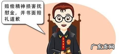 赔偿法里国家赔偿精神抚慰金,国家赔偿法精神损害赔偿第一案的意义