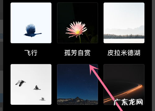 钉钉聊天背景怎么取消名字,为什么钉钉聊天背景是我的名字