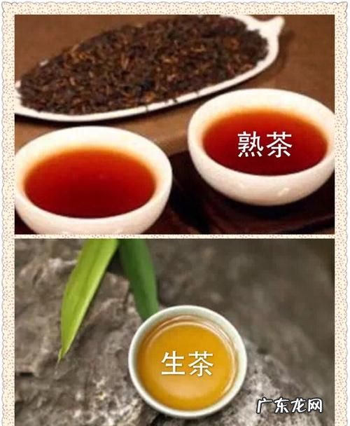 普洱生茶和熟茶的区别,生熟普洱茶的区别和功效