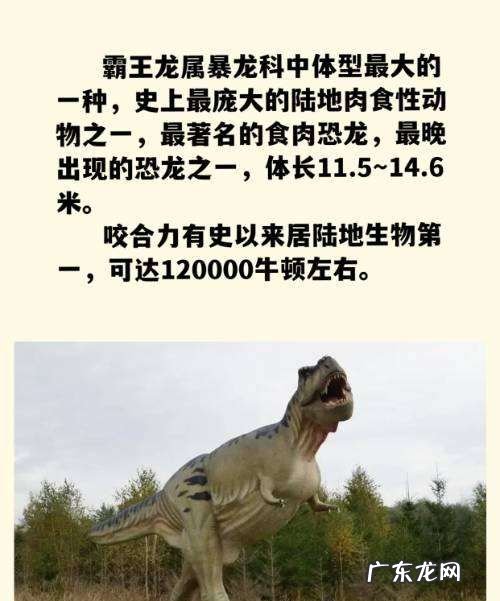 恐龙的种类名称和图片,恐龙种类