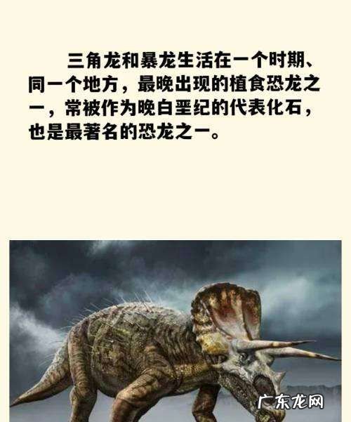 恐龙的种类名称和图片,恐龙种类