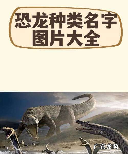 恐龙的种类名称和图片,恐龙种类