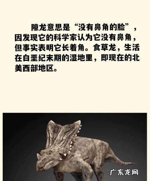 恐龙的种类名称和图片,恐龙种类