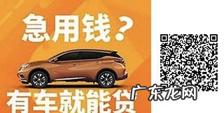 绿本是什么意思,绿本是什么意思