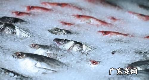 死鱼能吃你要注意了,死蝉能否食用