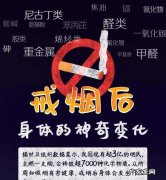 世界无烟日是几月几日,世界无烟日是几月几号