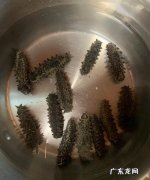 干海参如何泡发,干海参如何泡发最好