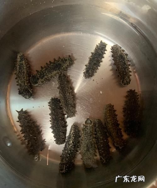 干海参如何泡发,干海参如何泡发最好
