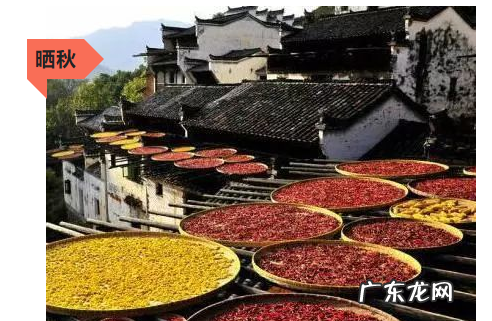 重阳节有哪些习俗,端午节的习俗有哪些