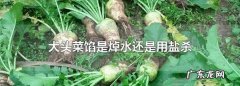 圆白菜做馅焯水还是用盐撒,大头菜馅包子用焯水