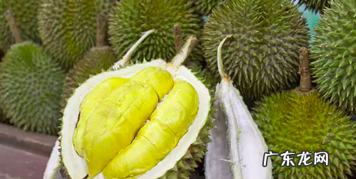 榴莲的核能吃,榴莲核能不能吃