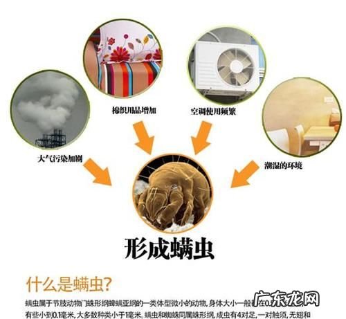 家里为什么有螨虫,螨虫是怎么来的