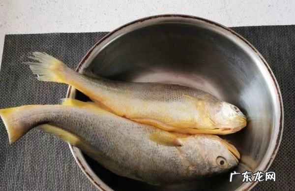 黄鱼怎么做好吃,红烧黄花鱼怎么做好吃又简单教程
